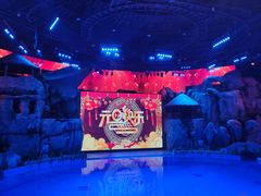 -芜湖新华联大白鲸海洋公园