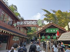-野象谷景区