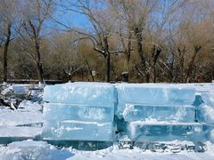 -长春市南湖公园