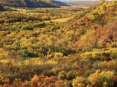 -塞罕坝国家级自然保护区