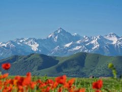 -新疆那拉提国家旅游度假区
