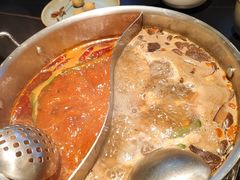 -季季山·云南野生菌火锅(上海首店)