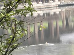 -敬亭山风景名胜区