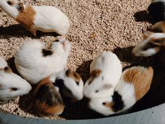 -常州海昌海洋探索馆