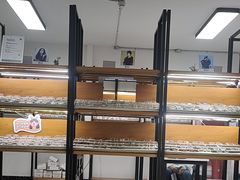 -五派眼镜(沙河店)