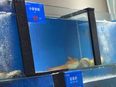 -品味居·首店·大连鲜活海鲜大连菜(东港店)