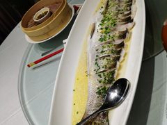 -沪碟·精菜坊(闵行店)