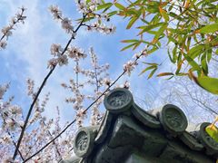 -桃花堤公园