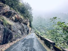 -东天目山风景区
