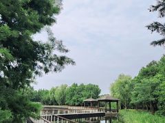 -同里国家湿地公园