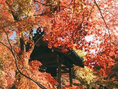 -常寂光寺