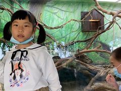 -学知乐教育·幼小衔接·小学科辅导(嘉定镇校区)