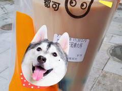 -CoCo都可(昆百大店)
