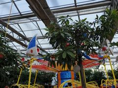 -南宫五洲植物乐园