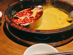 -牛市坎火锅(建设路店)