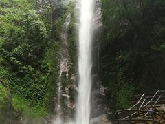 -莫里热带雨林景区