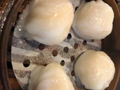 添运来虾饺皇-添运来(茶园奥园广场店)