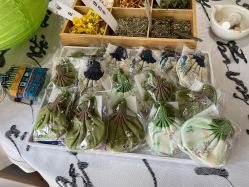 -薇薇安花系SPA