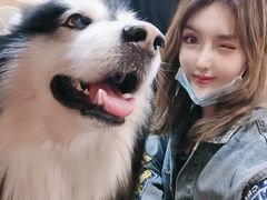 -白兔子密室(长寿路店)