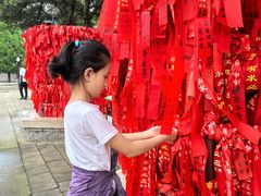 -龙口南山旅游景区