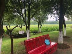 -艾溪湖湿地公园