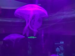 -常州海昌海洋探索馆