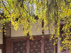 -金堂县云顶石城风景区