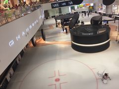 -TheRink大零溜冰场(IFS国金中心店)