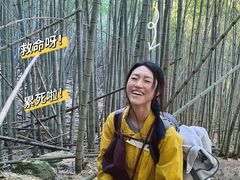 -四明山国家森林公园
