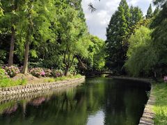 -上海滨江森林公园