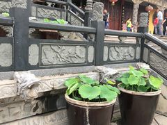 -南海禅寺