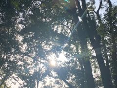-宝通禅寺