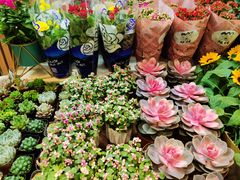 -丽达购物中心(崂山店)