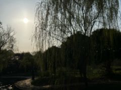 -皤滩古镇