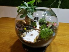 -A+匠心DIY手工坊·首饰·微景观