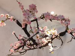 -蜜桃餐厅·伴山(绿宝广场店)