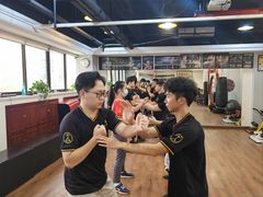 -温鉴良实用咏春拳
