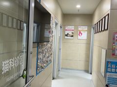 -谐和益家动物医院·免疫绝育·血液透析·宠保定点医院(高新伊藤分院)