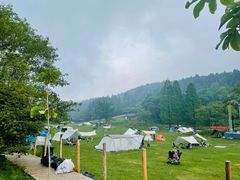 -武陵山森林公园