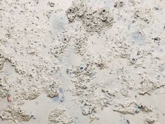 -北海金海湾红树林生态旅游区