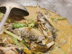 -饭怕鱼(阳光100店)
