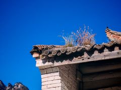 -王顺山国家森林公园