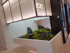 -湖锦酒楼(八一路店)