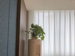 -梅花香里大酒店(郁金香路店)