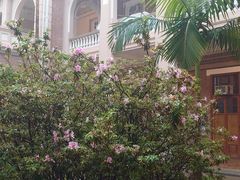 -香港大学