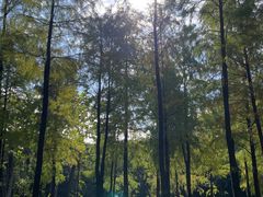 -晓港公园