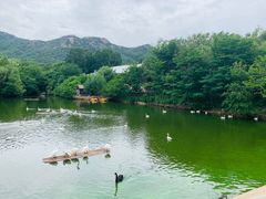 -青岛森林野生动物世界