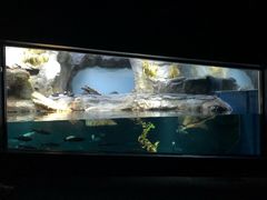 -大阪海游馆