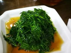 -协和菜馆(凤凰街店)