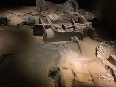 -洛阳周王城天子驾六博物馆